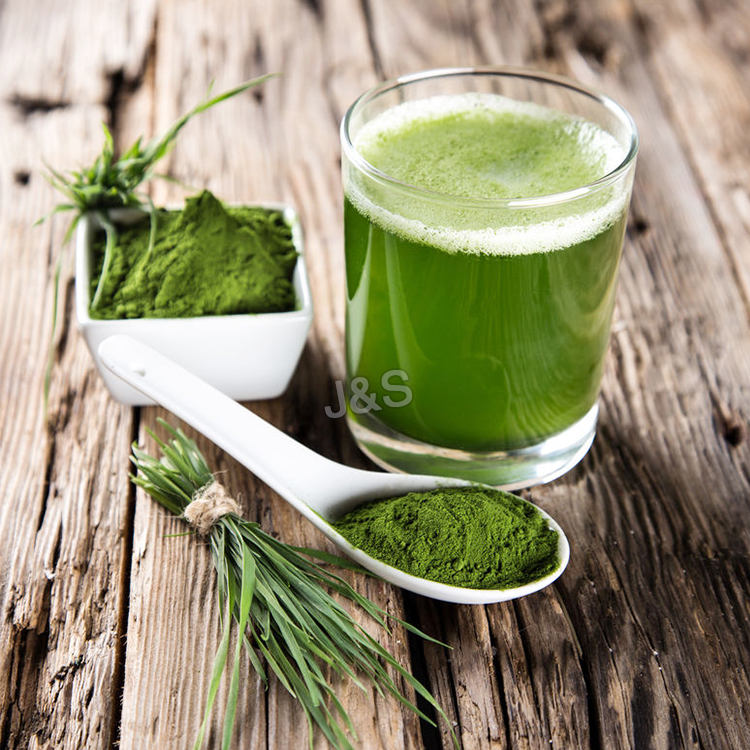 Professional China 
 Barley Grass Powder Manufacturer in Miami