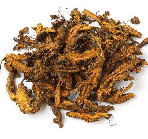 Cé mhéad atá ar eolas agat faoi Berberine?
