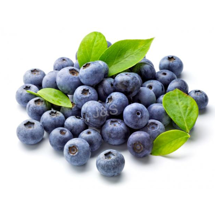 2016 Latest Design 
 Blueberry extract Florence
