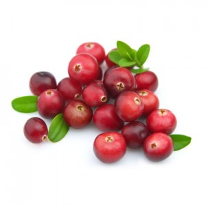 Extrato de cranberry 100% natural em antocianidinas com certificação ISO da China, mais vendido na fábrica
