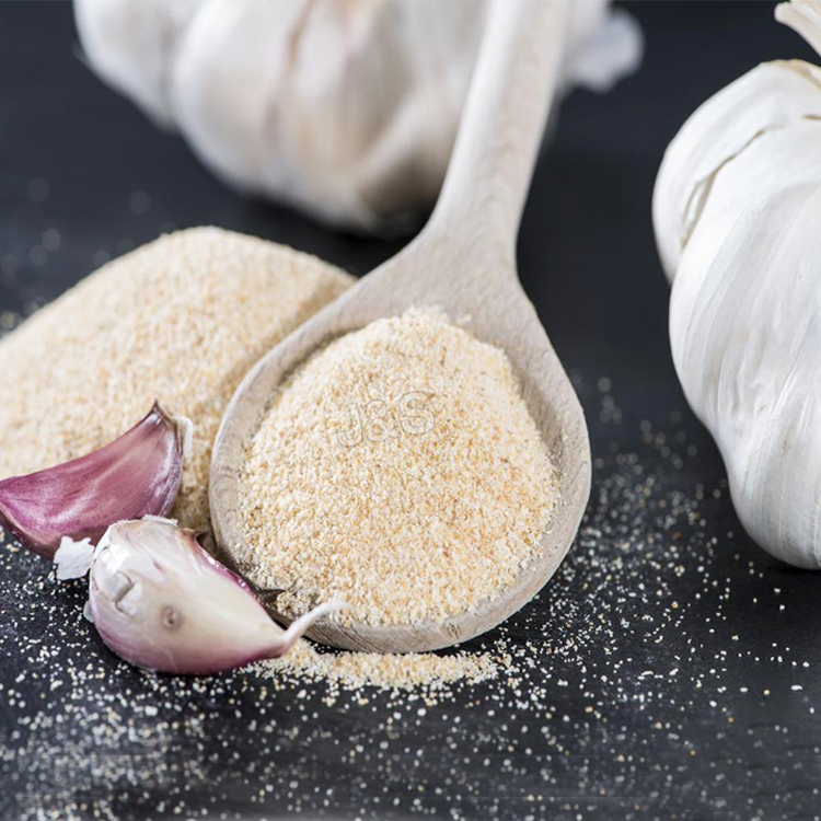 factory Outlets for
 Garlic Powder Factory in USA