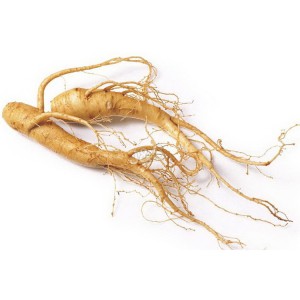 2 anos de garantia para fábrica de extrato de Ginseng no Benin