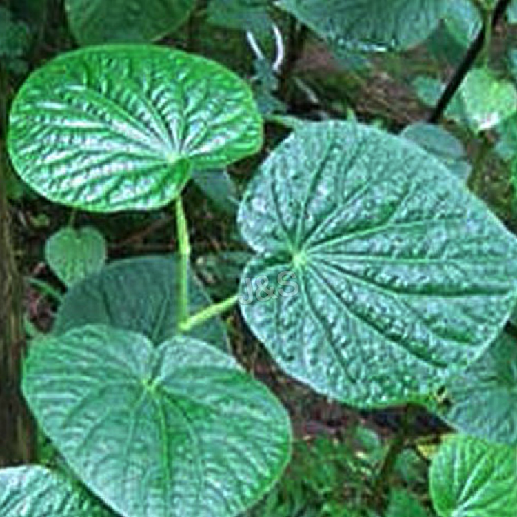 Wholesale price for
 Kava Extract in Slovenia