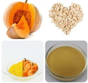Pumpkin Seed Extract