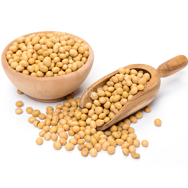 Wholesale price for Soybean extract Factory for Cairo detail pictures